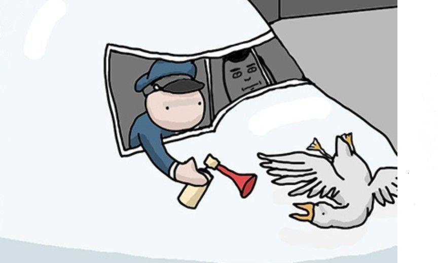 Pro Airport Hacks to Make Flying Suck Less #toggl.com #MartVirkus