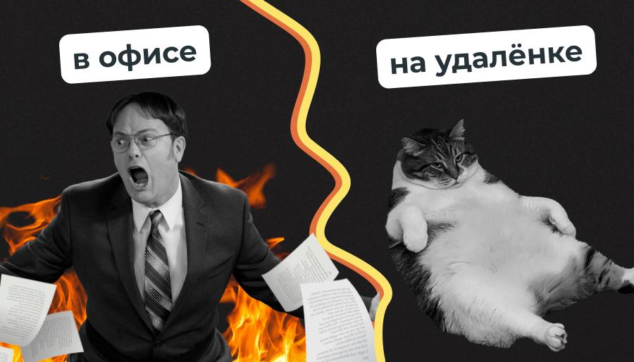 Как я отношусь к "гибриду" и "удаленке" #рабочие_моменты